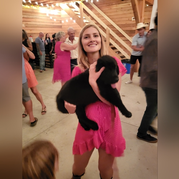 Meet your Posher, Sadie - Picture 2 of 3